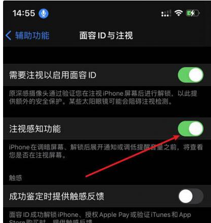 靖江苹果14维修网点分享iPhone14注视感知功能有什么用 