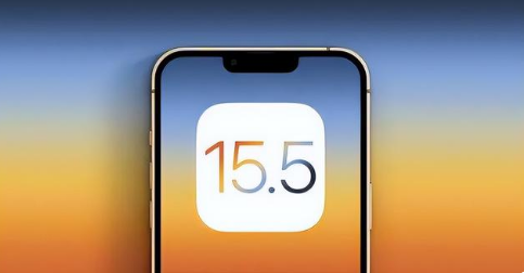 靖江苹果手机维修分享iOS15.5 RC版升级建议 