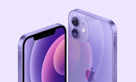 靖江苹果手机维修分享紫色版iPhone 12有什么技术亮点 