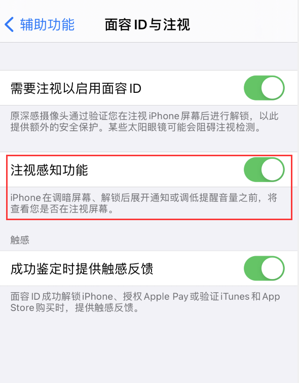 靖江苹果手机维修分享iPhone 12 不会自动锁屏怎么办 